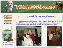 Tablet Screenshot of pegshavanese.com
